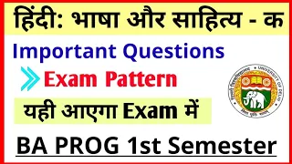 Hindi bhasha aur Sahitya Ka Important Questions BA Prog First Semester | Hindi- A Exam Pattern BA