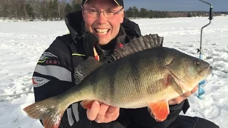 Kaikuluotain apuna ahvenpilkillä!