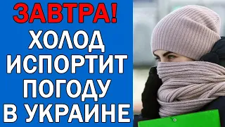 ПОГОДА НА 5 НОЯБРЯ : ПОГОДА НА ЗАВТРА