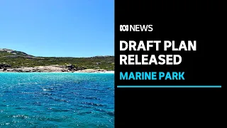 South Coast Marine Park draft management plans released | ABC News