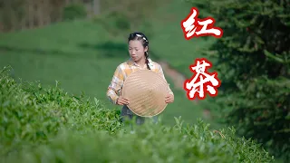 magical oriental leaves神奇的东方树叶（茶Tea）｜Chinese Food ｜野小妹 wild girl