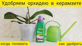 Удобрение орхидей в керамзите || Когда и как поливать орхидеи в керамзите