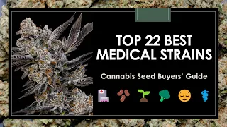 Top 22 Best Medical Marijuana Strains: Seed Buyers' Guide