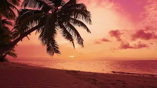 🌴 Peaceful Sundown over Palm Tree Beach | Sunset Scene with Ocean Sounds for Sleeping 2 Hours