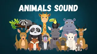 Animals Sound and Names - Wild Animal Sound for Kids - Lion Sound - Learning Sounds of the Animal