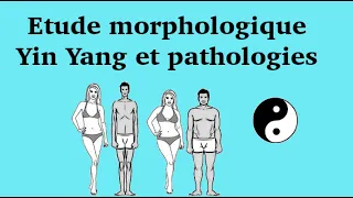 Hypertension ou troubles nerveux ? Comment votre morphologie influence vos pathologies.