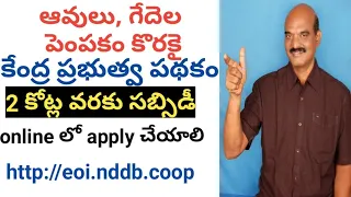 Central Government Scheme for Cows and Buffaloes | Each Person 2 crores Subsidy | Apply Online