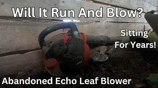 Will This Abandoned Leaf Blower Run And Blow?
