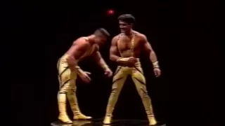 Alexis Brothers Big Apple Circus 1990