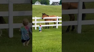 Cute Kiddo Summons Horse Herd! #Shorts #Horses #PetParents #CuteAnimals #Farm animals #Tranding