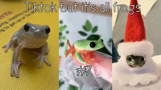 Tiktok but it’s all frogs #7