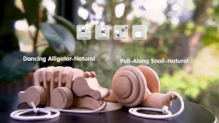 PlanToys | Pull Along Snail & Dancing Alligator - Natural