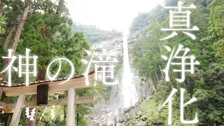 【真の浄化をみんな知らない】神様の滝の自然音と映像で心身を浄化し波動を上げる【那智の滝1時間】Nachi Waterfall 1 hour