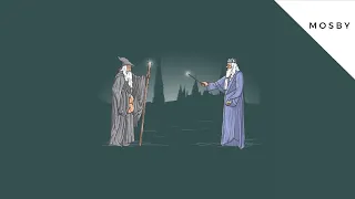 Gandalf e Silente - Entrata a effetto