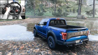 Ford Raptor F-150 (Offroading) - Forza Horizon 5 | Logitech g29 gameplay (900° steering wheel setup)