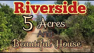 😎🌴🐴 RANCH for sale in Riverside Ca - 5 ACRES beautiful house