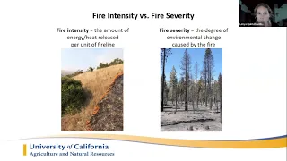 Forest Health and Fire Preparedness