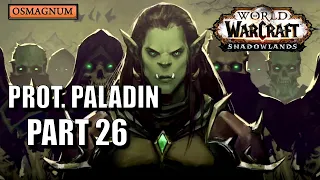 World of Warcraft - Shadowlands Prot. Paladin Walkthrough Gameplay Part 26 – DRAKA'S RESOLVE