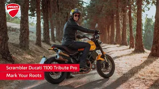 Scrambler Ducati 1100 Tribute Pro | Mark Your Roots