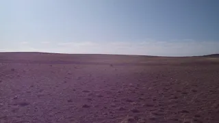Mongolian Gobi Desert Camp