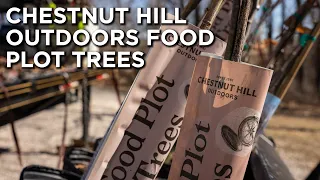 Chestnut Hill Outdoors Products | Trees Available For Shipping & Retail Purchase