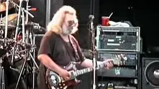 Grateful Dead - Deer Creek Noblesville, IN 6/6/1991