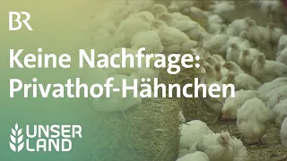 Privathof-Hähnchen nicht gefragt | Unser Land | BR Fernsehen