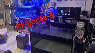 Reef Tank Update, Projects & Fishing