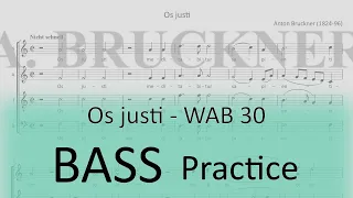 Bruckner / Os justi - Bass 2 practice