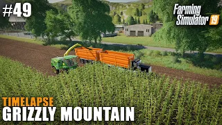 Grizzly Mountain Timelapse #49