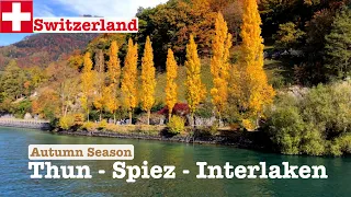 🍁 Thun - Interlaken, Switzerland • Boat/Cruise Tour • 4K Panoramic Colorful Autumn/ Fall Views