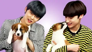 TXT Plays With Puppies While Answering Fan Questions