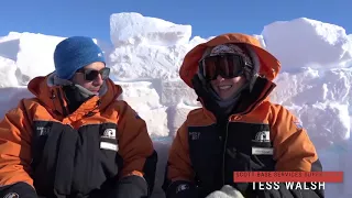 Vogel's in Antarctica