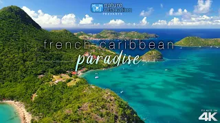 French Caribbean Island by Drone! 4K Short Nature Relaxation Video w/ Guitar Music + Ocean Sounds