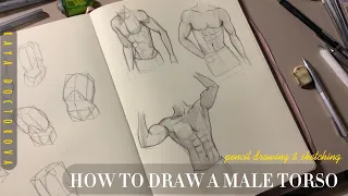 How To Draw A Male Torso