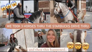 WE TOOK 3 HORSES THRU THE STARBUCKS DRIVE THRU! & THEN THIS HAPPENED..  | Maite Rae