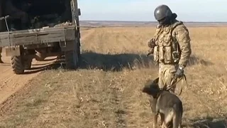 Одиннадцать украинских военных подорвались на фугасе в Луганской области