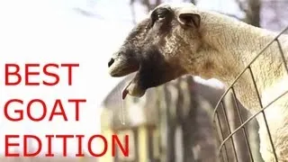 KIDD - Uhh Det Er Så Svært At Være Så God [Goat Edition]