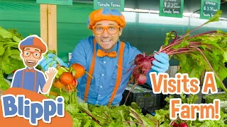 Blippi Visits A Farm! | Learn About Healthy Eating For Kids | Educational Video for Toddlers