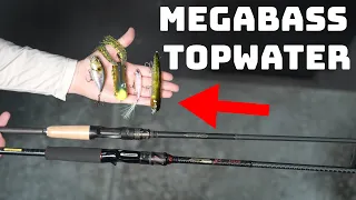 Everything You NEED To Know About Megabass Topwater Baits!