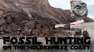 Fossil hunting on the Holderness Coast. Searching for Yorkshire Coast fossils on an evening hunt.