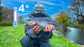 Fly Fishing For Trout | Syon Park