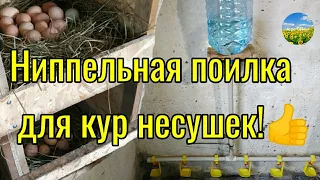 Ниппельная поилка для кур несушек своими руками! Подробно все этапы!