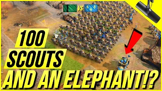 Age of Empires 4 - 100 Scouts? Why though?