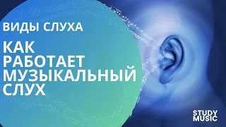 Как РАБОТАЕТ музыкальный СЛУХ? Виды слуха