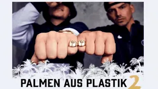 Bonez MC Raf Camora   Palmen aus Plastik 2   Gierig   Instagram Story Snippet