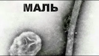 гр. Маль - "Вирус" -1997 г. (русский рок) - г. Газалкент