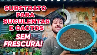 Como fazer substrato caseiro para cactos  e suculentas