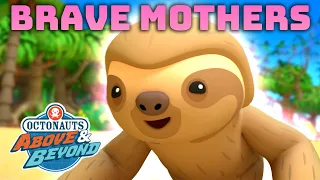 Octonauts: Above & Beyond - 🌸 Brave Moms Protect Their Young 🍲 | Compilation | @OctonautsandFriends​