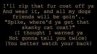 Big Bad Cat lyrics - Rugrats Go Wild